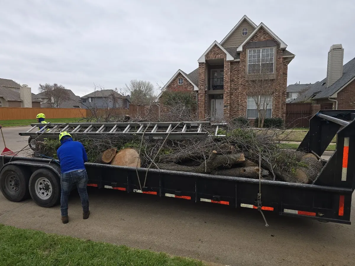 Expert Tree Pest Control with proper safety equipment in Winslow